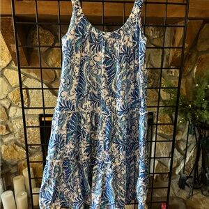 Lilly Pulitzer Blue and White Leaf Print Loro Dress